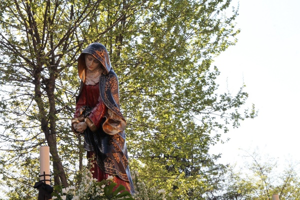 Procesión 2017 · 14